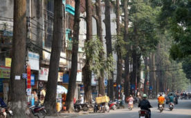 BÁN NHÀ MẶT PHỐ LÒ ĐÚC , NỞ HẬU, DT 132M2, GIÁ 36 TỶ.