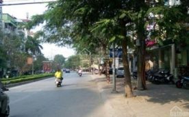 BÁN ĐẤT MẶT PHỐ LẠC LONG QUÂN, DT 420M2, GIÁ 112 TỶ